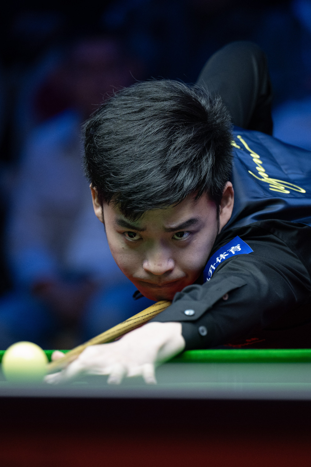 忽视的内幕 忽视的内幕