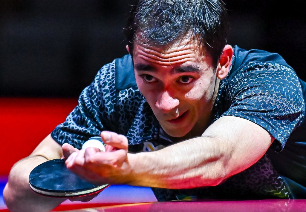 詹姆斯和库 詹姆斯和库